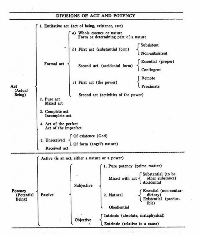 Scholastic Divisions of Being